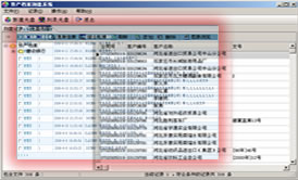 系統安全